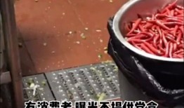 宁波外卖小哥爆料视频,揭秘外卖行业背后的辛酸与真相